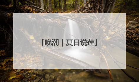 晚潮｜夏日说莲