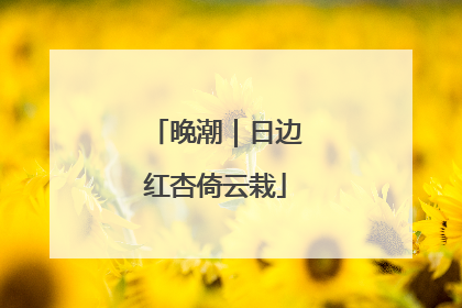 晚潮｜日边红杏倚云栽