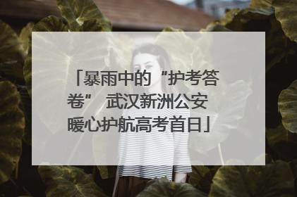 暴雨中的“护考答卷” 武汉新洲公安暖心护航高考首日
