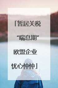 暂居关税“喘息期” 欧盟企业忧心忡忡