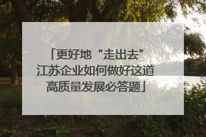 更好地“走出去” 江苏企业如何做好这道高质量发展必答题