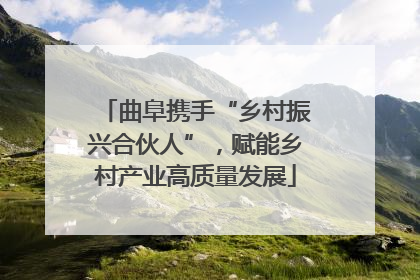 曲阜携手“乡村振兴合伙人”，赋能乡村产业高质量发展