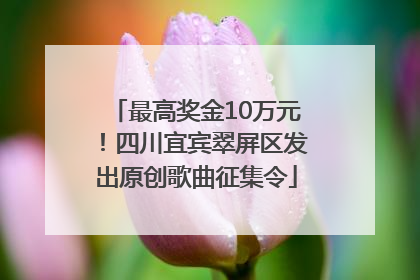 最高奖金10万元！四川宜宾翠屏区发出原创歌曲征集令