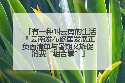 有一种叫云南的生活！云南发布旅居发展正负面清单与暑期文旅促消费“组合拳”