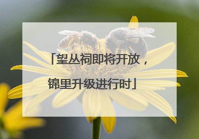 望丛祠即将开放，锦里升级进行时