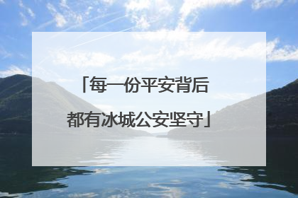 每一份平安背后 都有冰城公安坚守