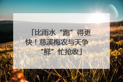 比雨水“跑”得更快！慈溪梅农与天争“鲜”忙抢收