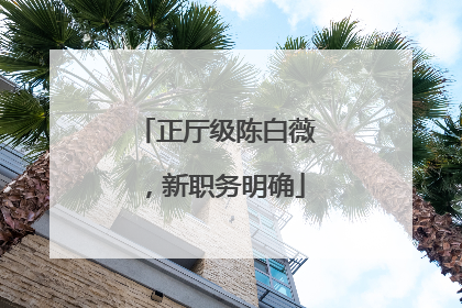 正厅级陈白薇，新职务明确