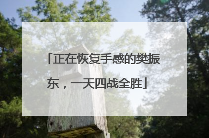 正在恢复手感的樊振东，一天四战全胜