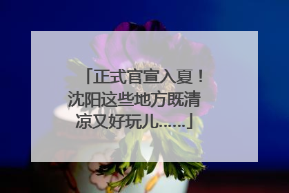 正式官宣入夏！沈阳这些地方既清凉又好玩儿……