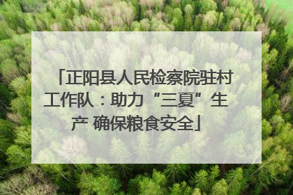 正阳县人民检察院驻村工作队：助力“三夏”生产 确保粮食安全
