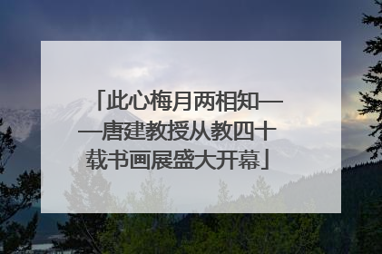 此心梅月两相知——唐建教授从教四十载书画展盛大开幕