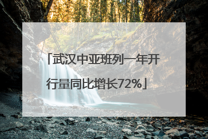 武汉中亚班列一年开行量同比增长72%