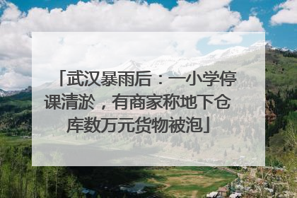 武汉暴雨后：一小学停课清淤，有商家称地下仓库数万元货物被泡