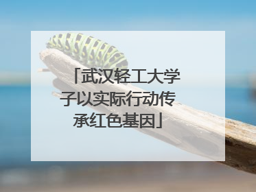 武汉轻工大学子以实际行动传承红色基因