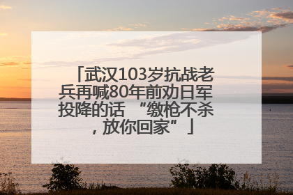 武汉103岁抗战老兵再喊80年前劝日军投降的话 “缴枪不杀，放你回家”