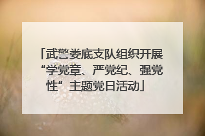 武警娄底支队组织开展“学党章、严党纪、强党性”主题党日活动