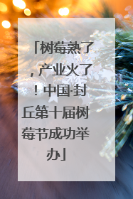 树莓熟了，产业火了！中国·封丘第十届树莓节成功举办