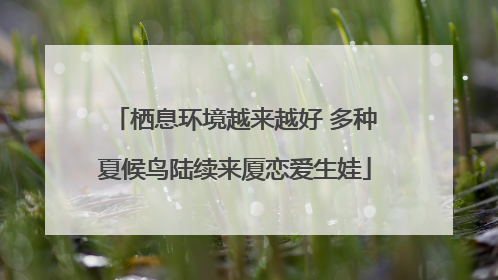 栖息环境越来越好 多种夏候鸟陆续来厦恋爱生娃