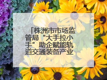 株洲市市场监管局“大手拉小手”助企赋能轨道交通装备产业链质量升级