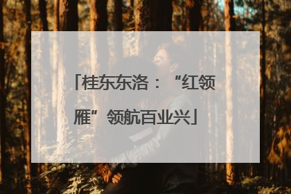 桂东东洛：“红领雁”领航百业兴