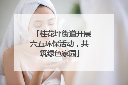 桂花坪街道开展六五环保活动，共筑绿色家园