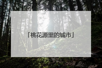 桃花源里的城市