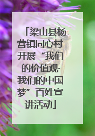 梁山县杨营镇同心村开展“我们的价值观·我们的中国梦”百姓宣讲活动