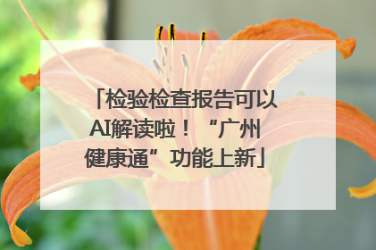检验检查报告可以AI解读啦！“广州健康通”功能上新