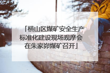 横山区煤矿安全生产标准化建设现场观摩会在朱家峁煤矿召开