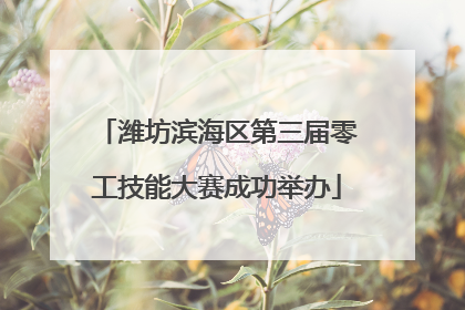 潍坊滨海区第三届零工技能大赛成功举办