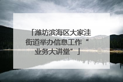 潍坊滨海区大家洼街道举办信息工作“业务大讲堂”