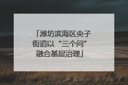 潍坊滨海区央子街道以“三个问”融合基层治理