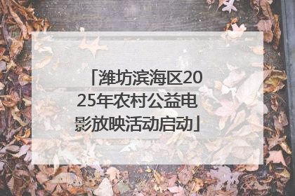 潍坊滨海区2025年农村公益电影放映活动启动
