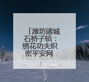 潍坊诸城石桥子镇：绣花功夫织密平安网 百姓日子越过越踏实