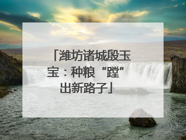 潍坊诸城殷玉宝：种粮“蹚”出新路子