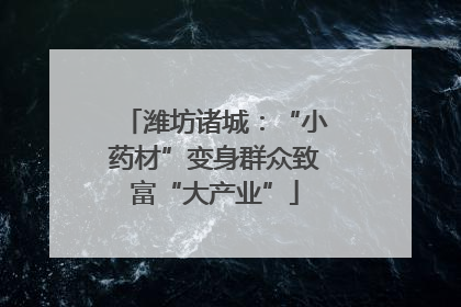 潍坊诸城：“小药材”变身群众致富“大产业”
