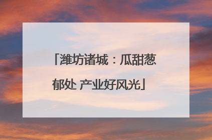 潍坊诸城：瓜甜葱郁处 产业好风光