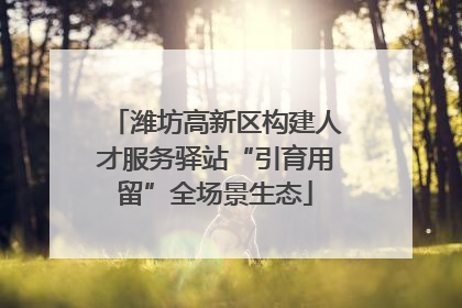 潍坊高新区构建人才服务驿站“引育用留”全场景生态