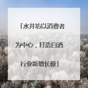 水井坊以消费者为中心，打造白酒行业新增长极