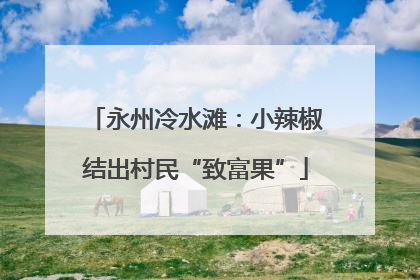 永州冷水滩：小辣椒结出村民“致富果”