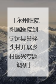 永州职院附属医院到宁远县桑梓头村开展乡村振兴专题调研