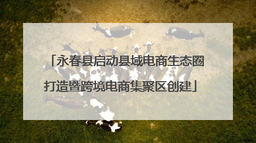 永春县启动县域电商生态圈打造暨跨境电商集聚区创建