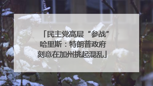 民主党高层“参战” 哈里斯：特朗普政府刻意在加州挑起混乱