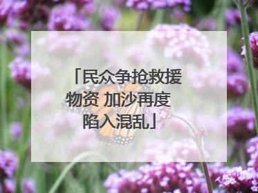 民众争抢救援物资 加沙再度陷入混乱