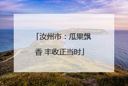 汝州市：瓜果飘香 丰收正当时