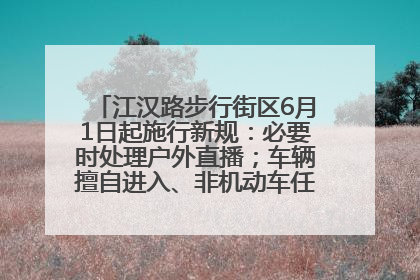 江汉路步行街区6月1日起施行新规：必要时处理户外直播；车辆擅自进入、非机动车任意停放的，依法处理