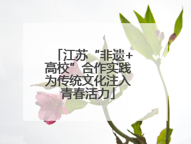 江苏“非遗+高校”合作实践为传统文化注入青春活力