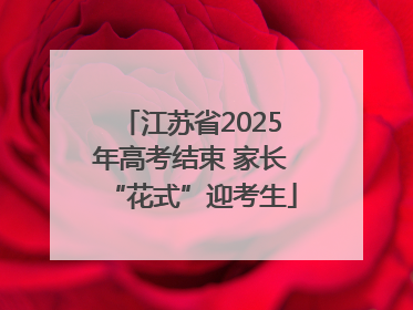 江苏省2025年高考结束 家长“花式”迎考生