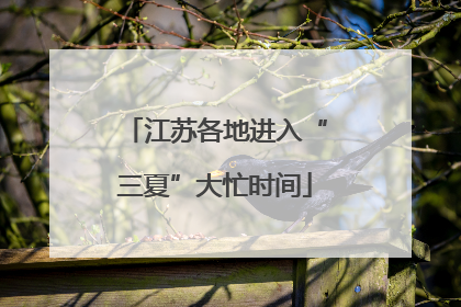 江苏各地进入“三夏”大忙时间
